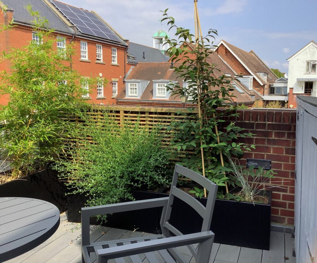 A new design for a Courtyard Garden and Balcony by Diana Arnold Design