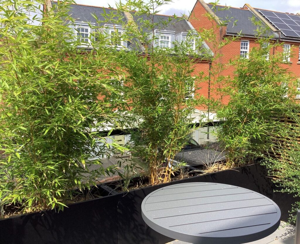The Balcony at Nile Street, Emsworth by Diana Arnold Design